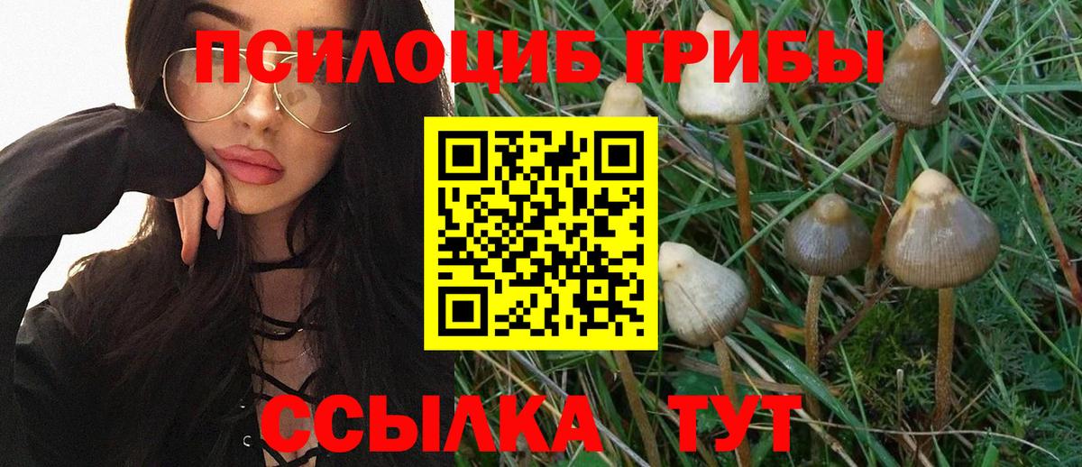 Семилуки  Псилоцибиновые грибы Cubensis  Вход с VPN 
